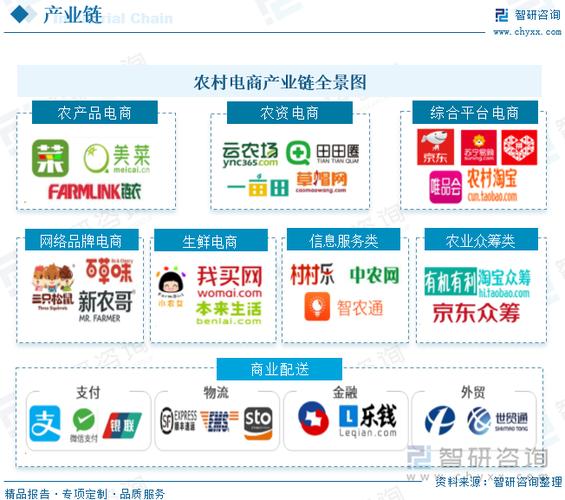 乡村振兴赋能农村电商，网络零售额攀升背后的信息服务新动能